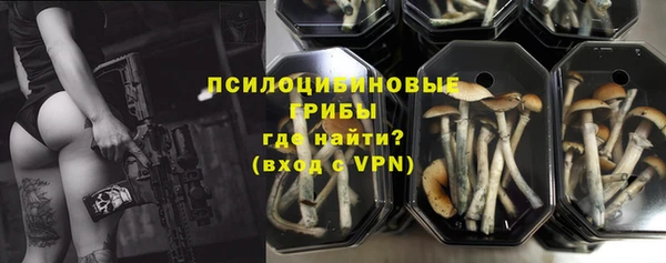 ALPHA-PVP Бородино