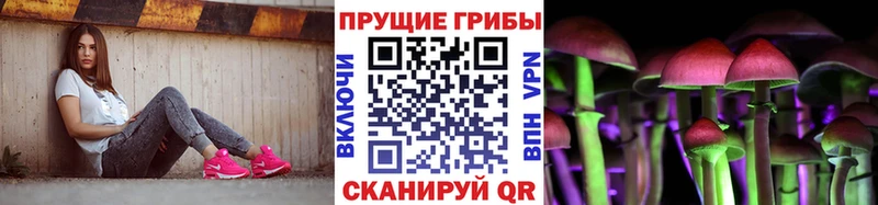 Псилоцибиновые грибы Psilocybe  ОМГ ОМГ онион  Новокузнецк  сколько стоит 