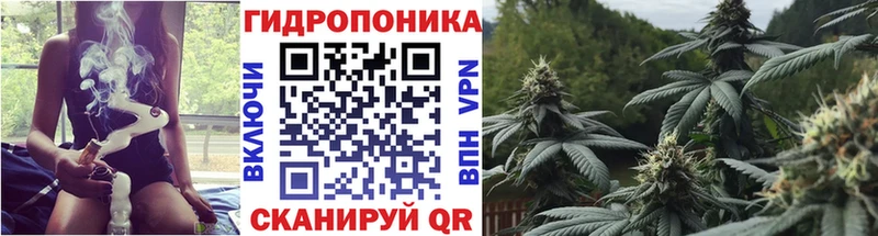kraken рабочий сайт Новокузнецк Каннабис OG Kush